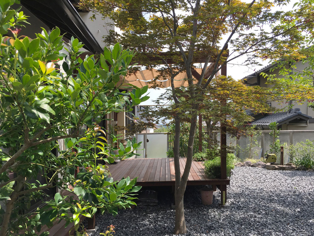 シンボルツリーのあるナチュラルで伸びやかな庭園